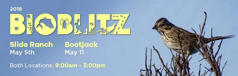 Bootjack BioBlitz and Rare Plant Treasure Hunt