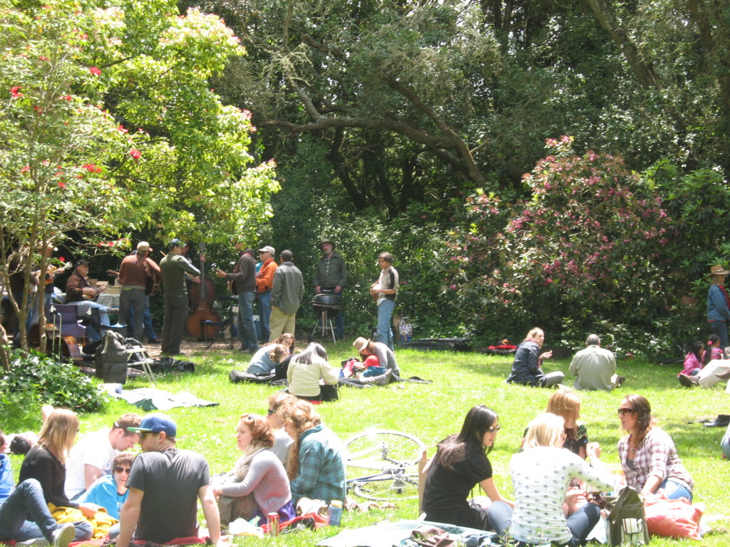 Bluegrass/Picnic in the Park