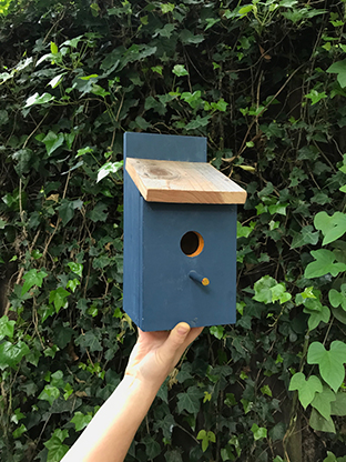 Pre-Mother's Day Birdhouse Construction