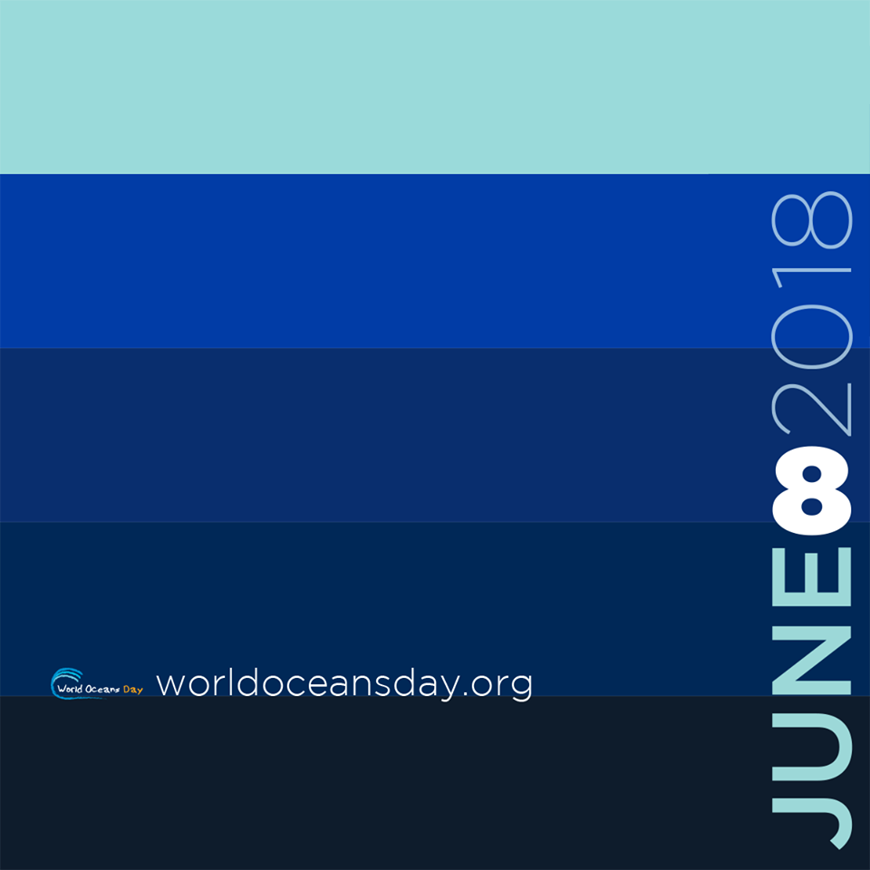 10 Ways to Celebrate World Oceans Day in the Bay Area