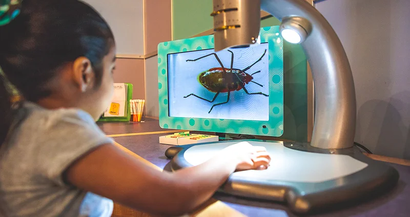 Bay Area Discovery Museum is Open Memorial Day!