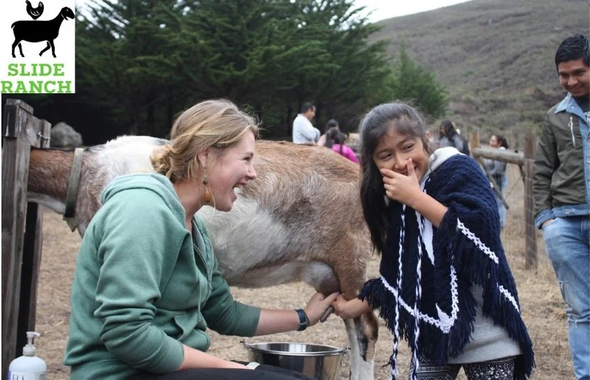 Got Teens? Slide Ranch Offers New Teen Programs