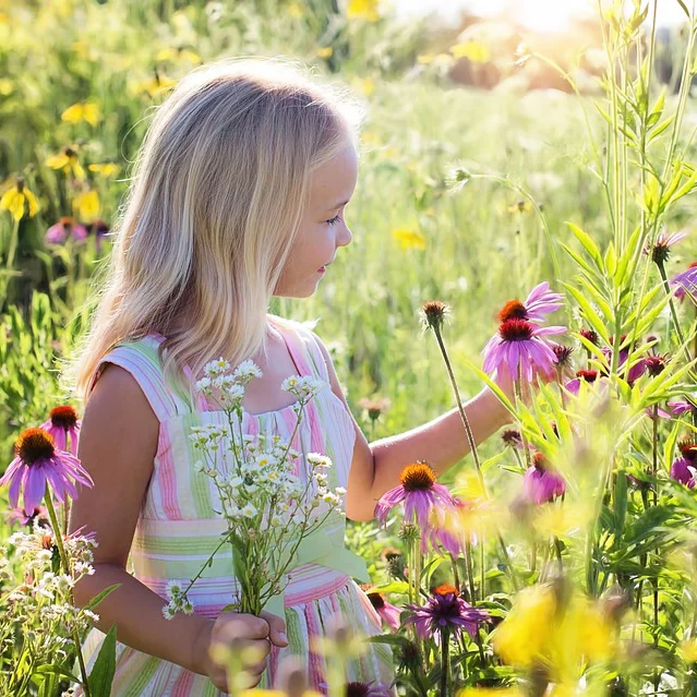 50 FREE Things To Do With Kids This June