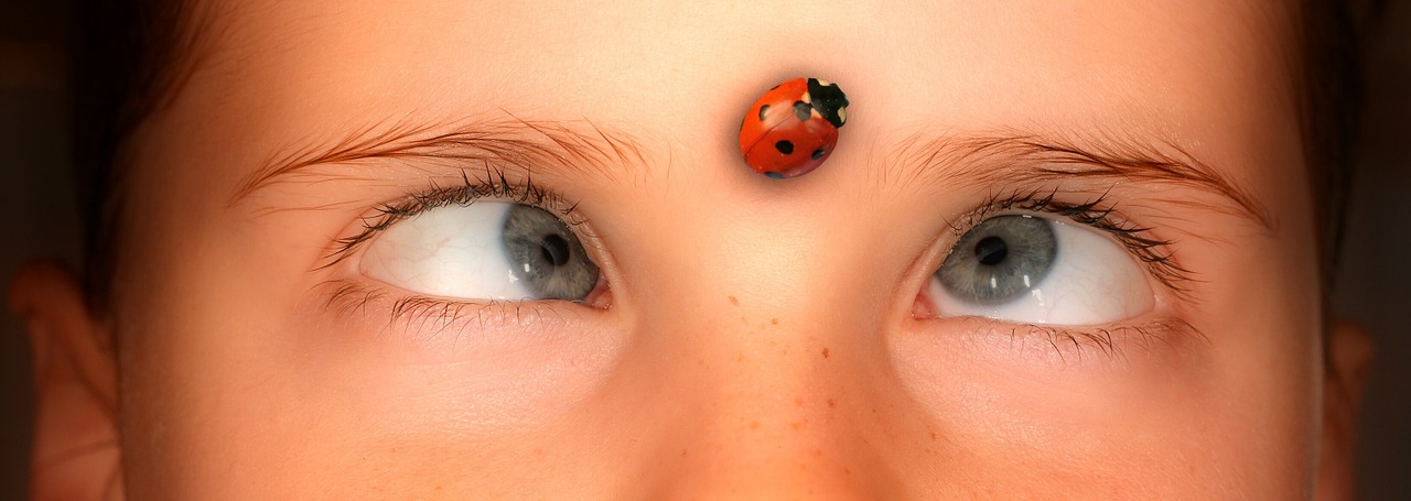 eyes-1192864_1280.jpg