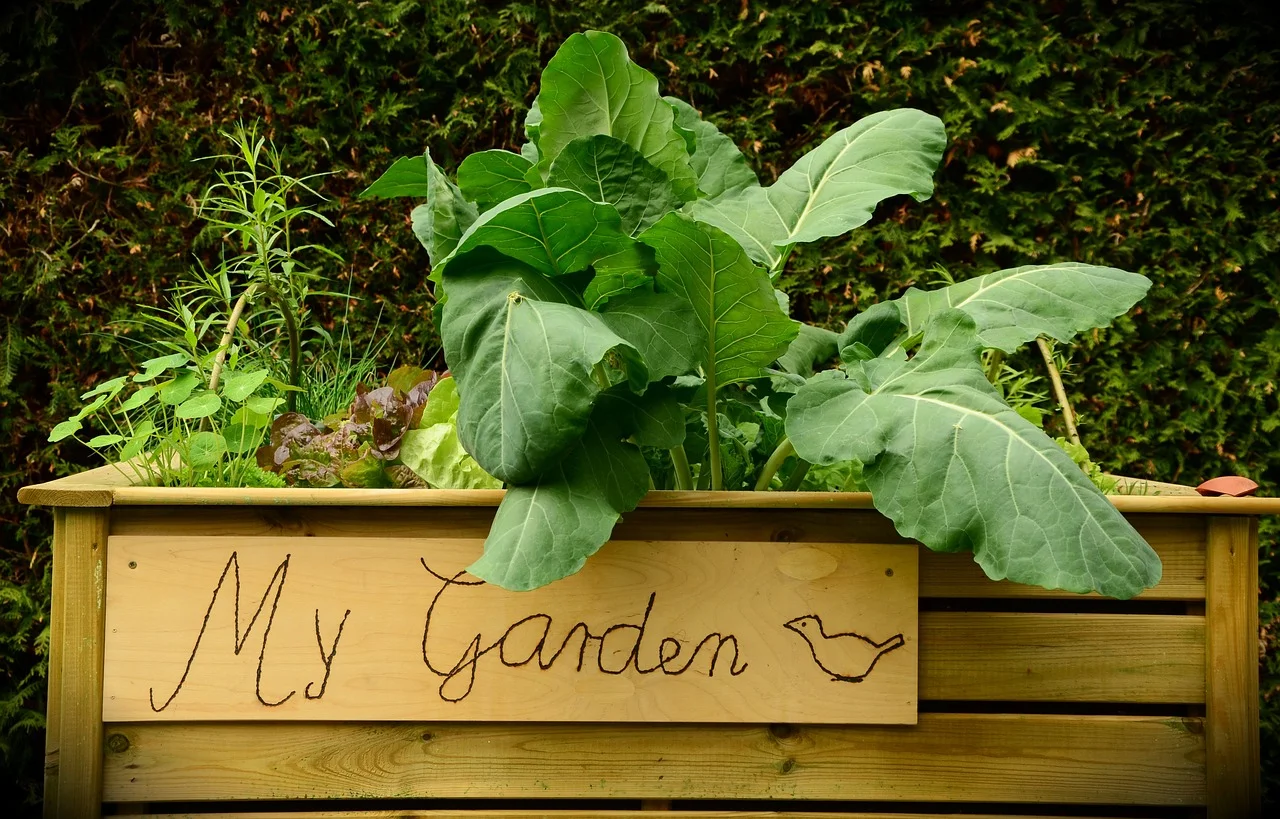 garden-1427541_1280.jpg