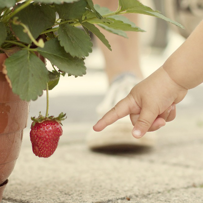 10 Ways to Grow Kids Love of Gardening