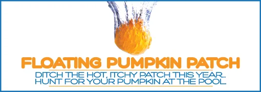 Santa Rosa Floating Pumpkin Patch