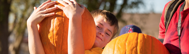 Tolay Fall Festival