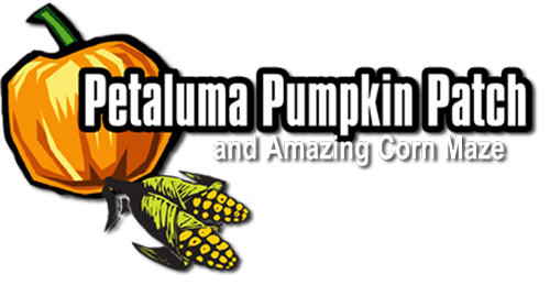 Petaluma Pumpkin Patch &amp; Amazing Corn Maze