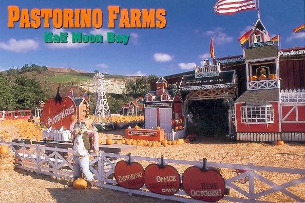 Pastorino Farm