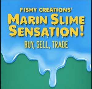 PODCAST 3: Fishy Creations Talks About Marin Slime Sensation! 