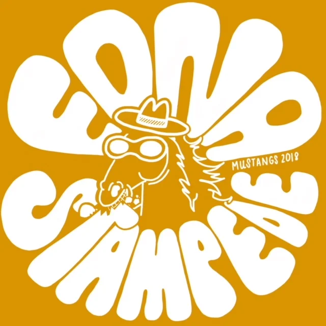 Mustang Stampede and Round Up