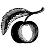 Pine PointCooking School