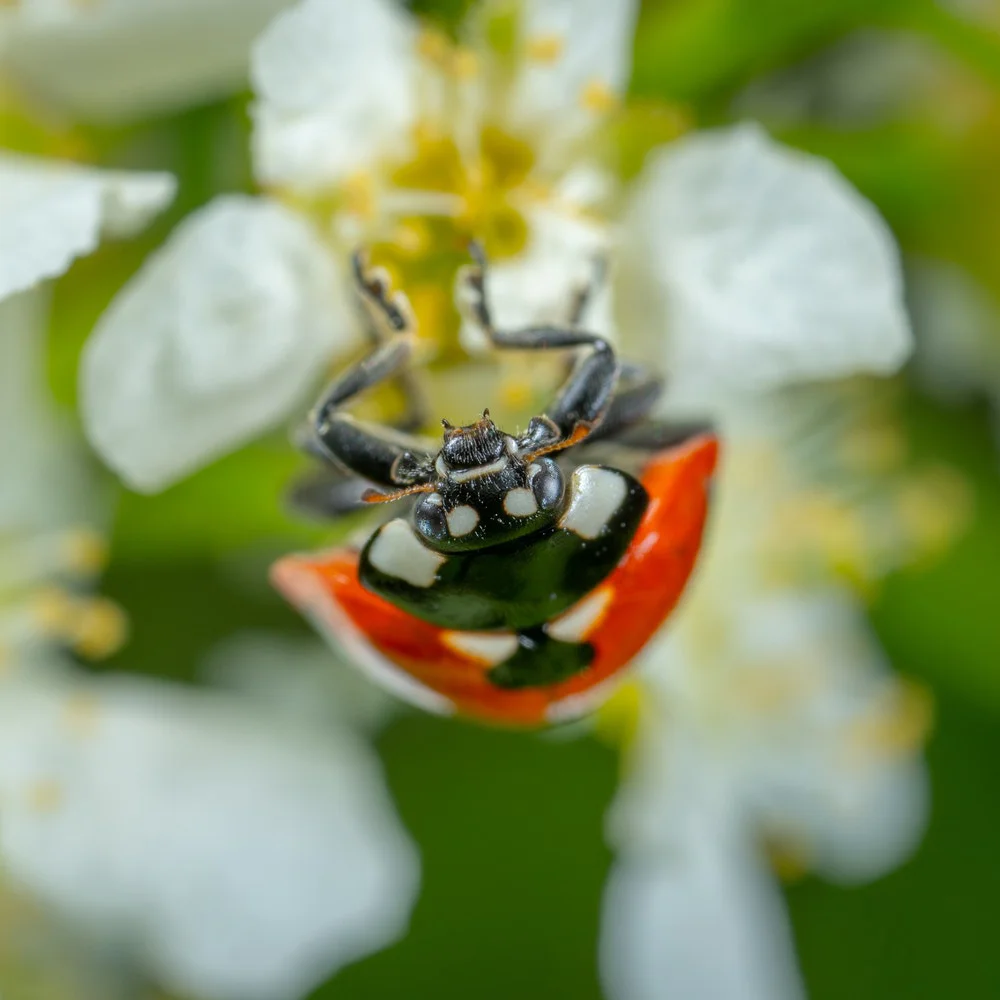 45 Effective Ways Little Acts Lead to Big Changes