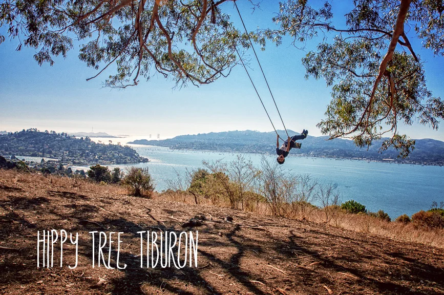 hippy tree016.jpg