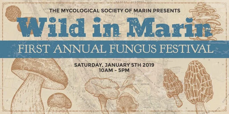 Wild in Marin Fungus Fair