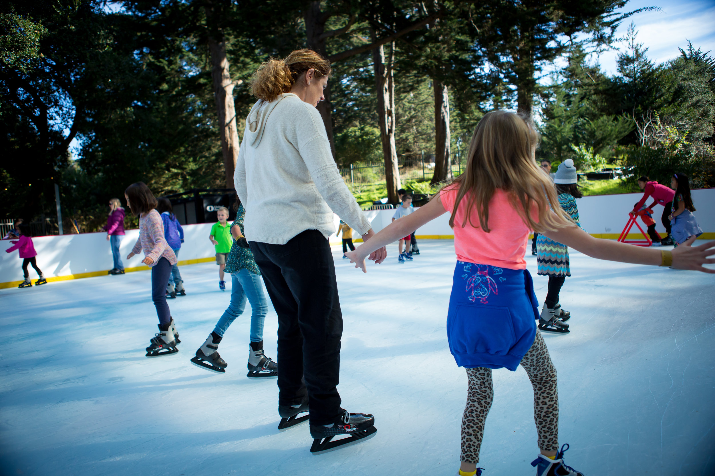 Skating 4 © 2017 California Academy of Sciences.JPG