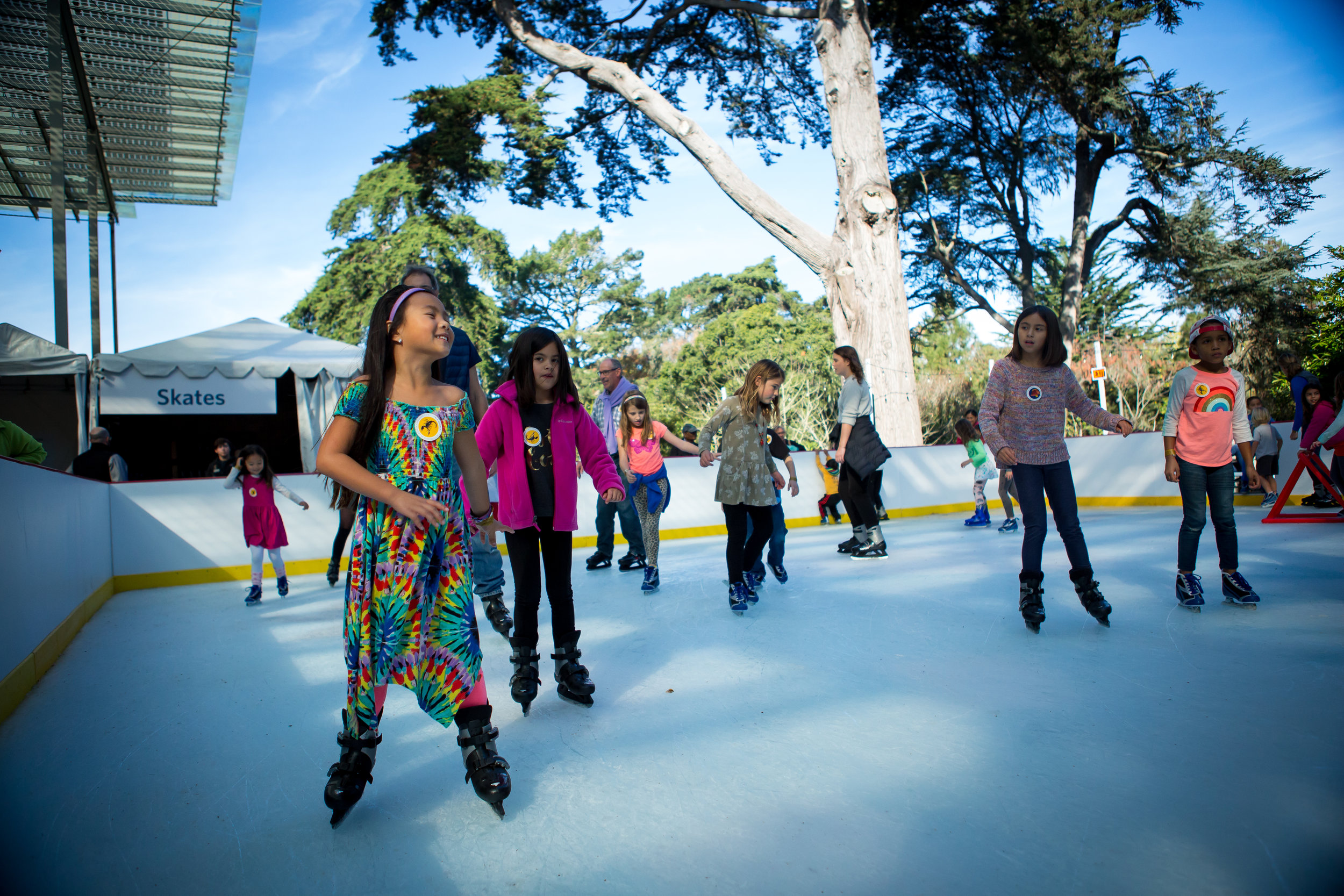 Skating 5 © 2017 California Academy of Sciences.JPG