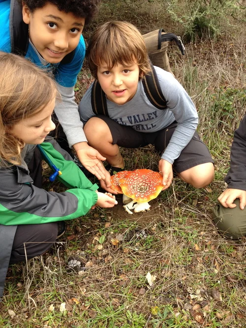 Vilda Winter Break Camp