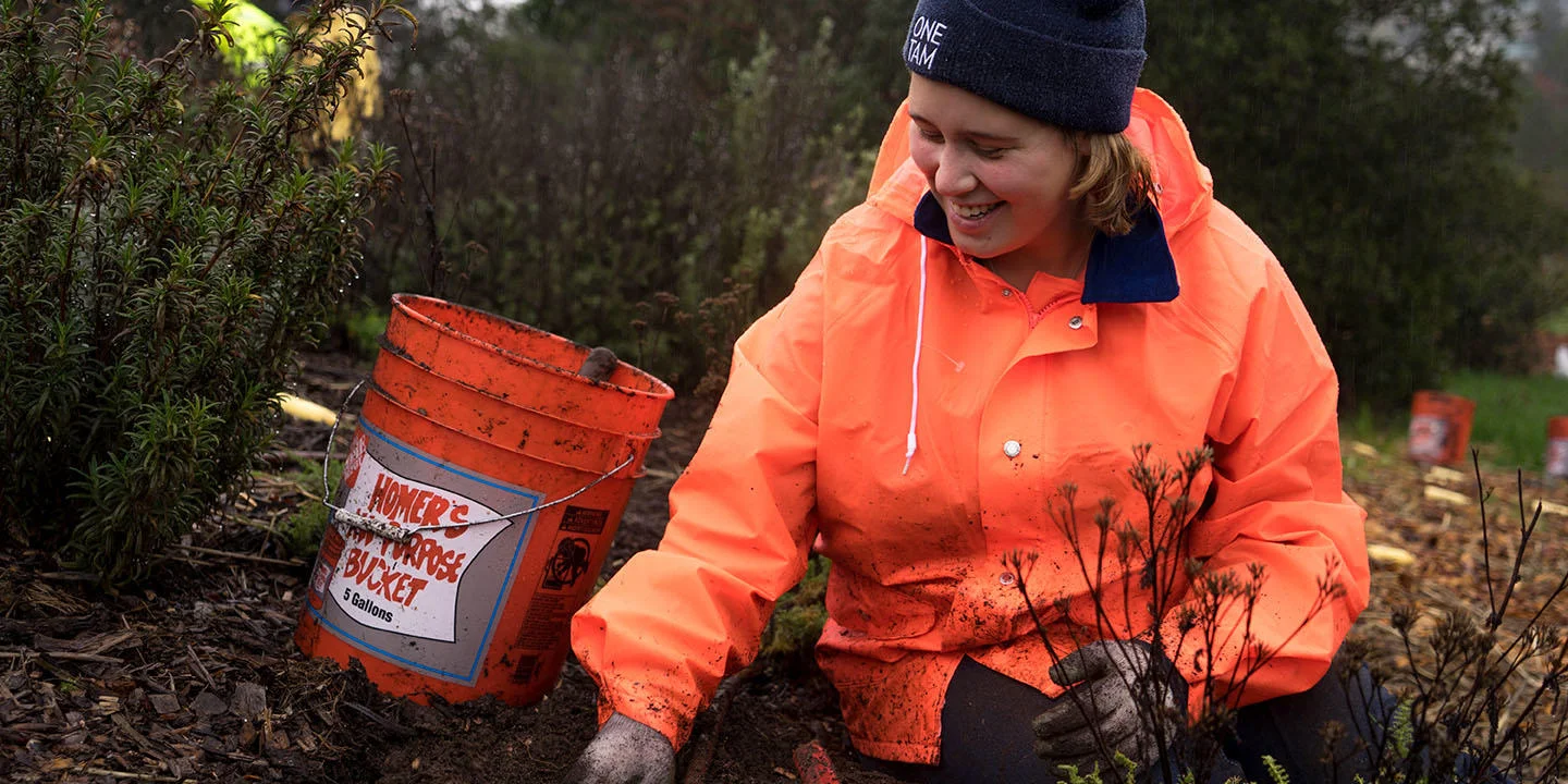 Habitat Restoration at Creekside Marsh