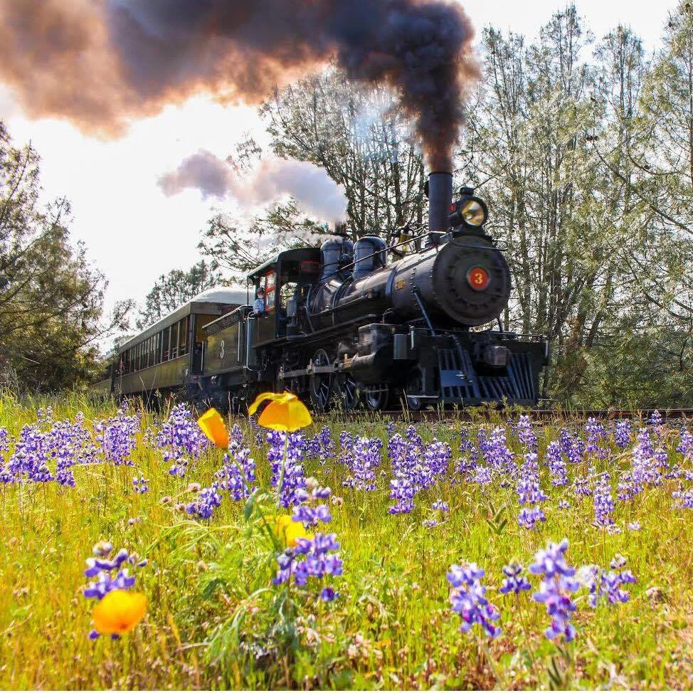 Railtown 1897 State Historic Park