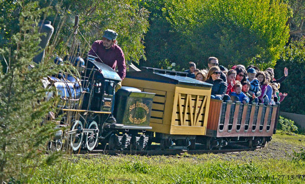 Little Puffer Steam Train