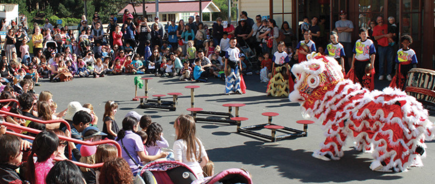 Lunar New Year Celebration