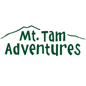 Sign Up TODAY for LEGO Creations &amp; Flag Football Summer Camps with Mt Tam Adventures