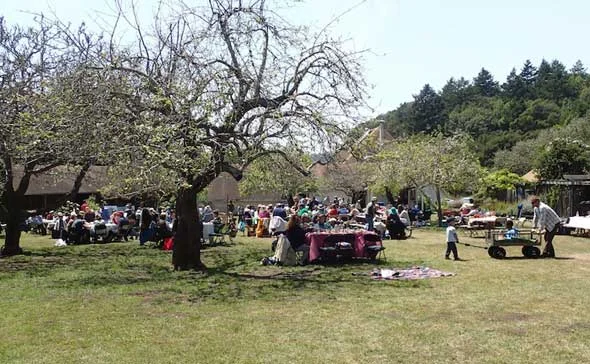 Mother's Day Picnic