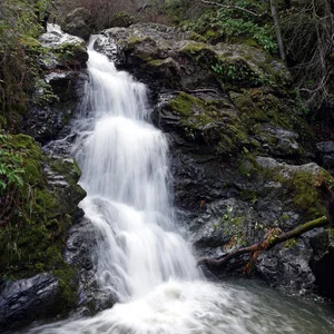 Top 10 Marin County Waterfall Hikes 