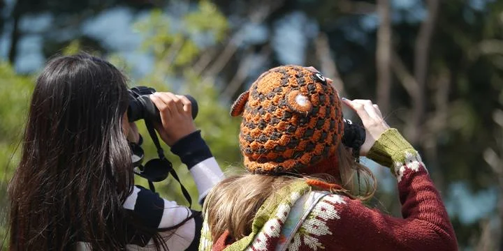 City Nature Challenge at Mountain Lake