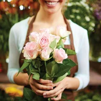 Marin Rose Society Rose &amp; Photography Show