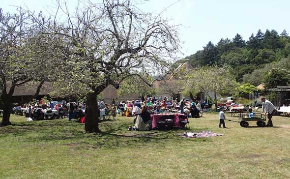 Mother's Day Picnic