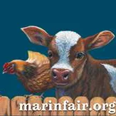 5 Days of Non-Stop Fun at The Marin County Fair