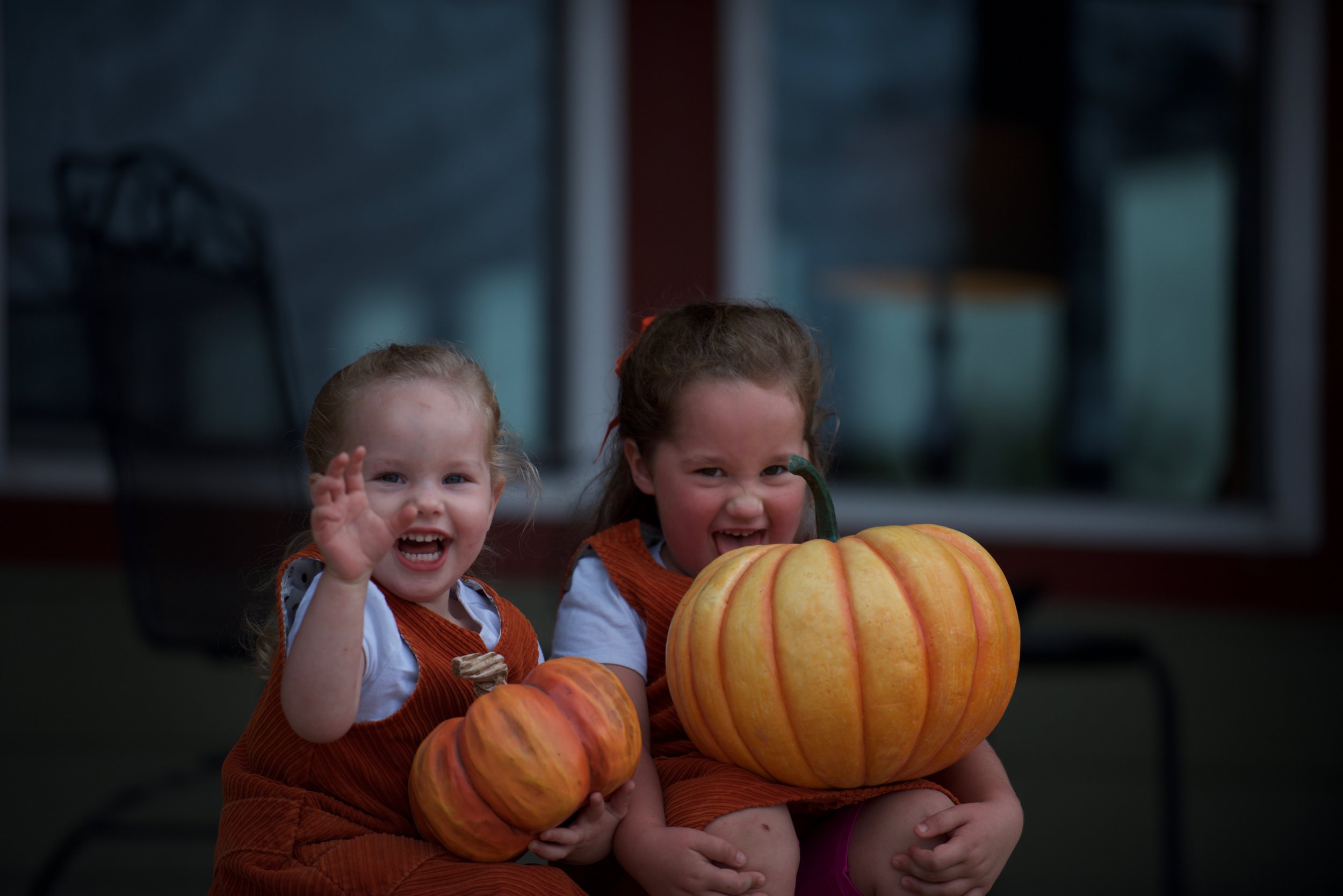 Petaluma Pumpkin Patch and Amazing Corn Maze