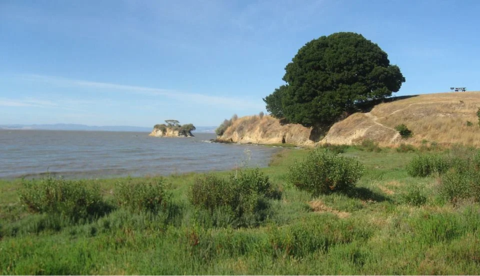 China Camp State Park