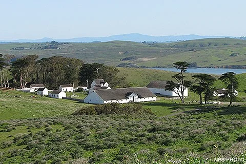 Pierce Point Ranch