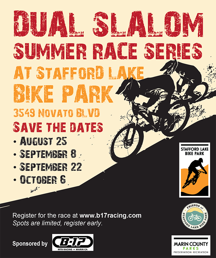 Dual Slalom Race Series