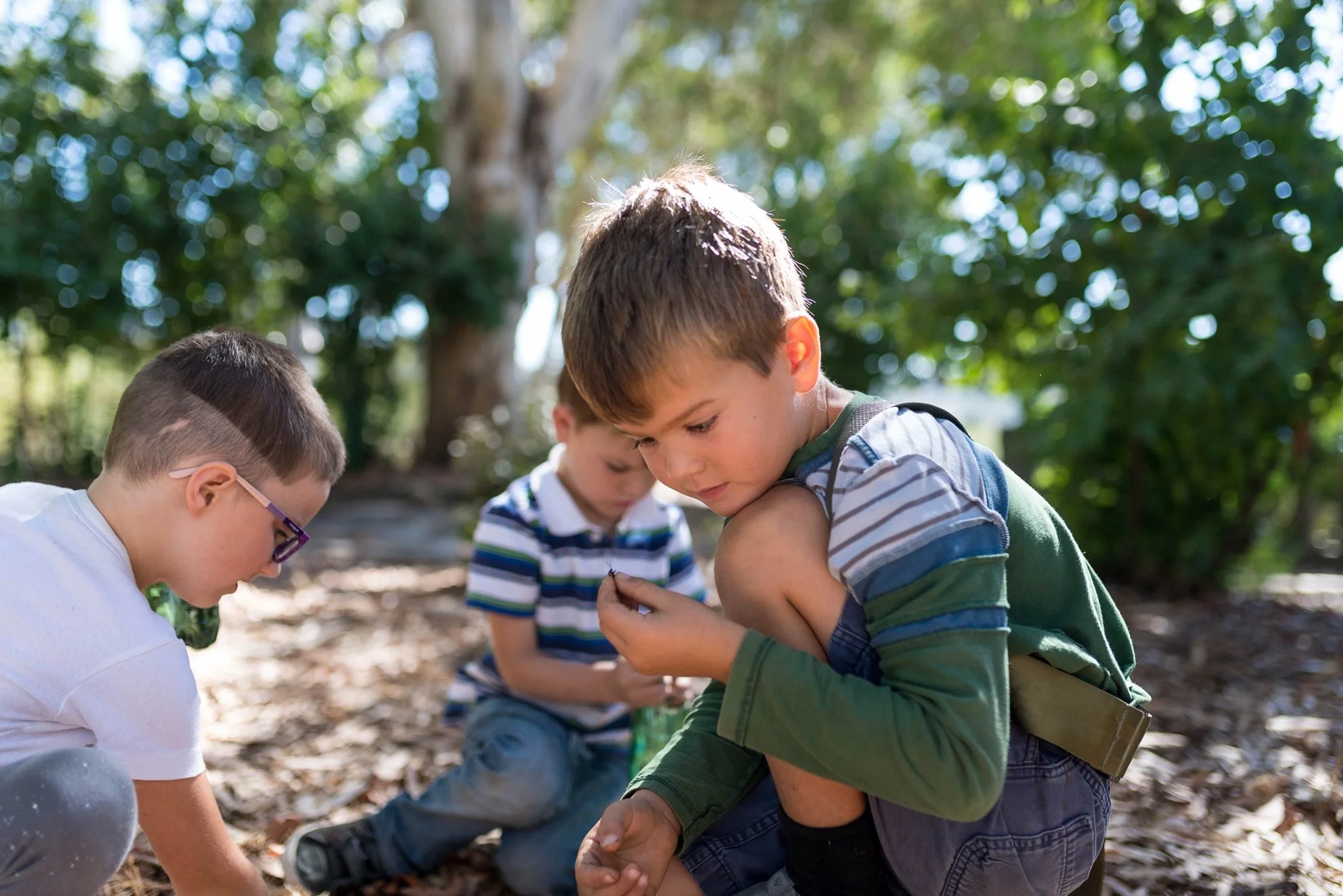 Parent-Child Nature Class for young Explorers with Caulbridge School