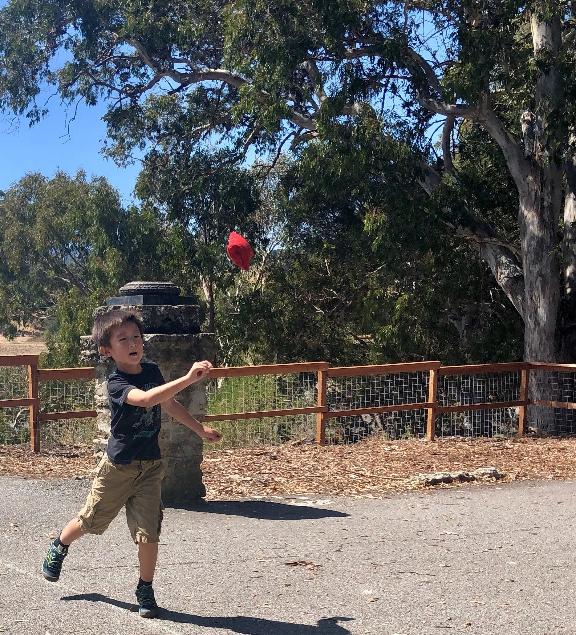 Free Sensory Motor and Academic Screening at Caulbridge School