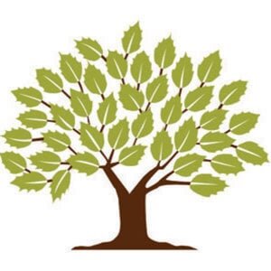 Marin Country Day School