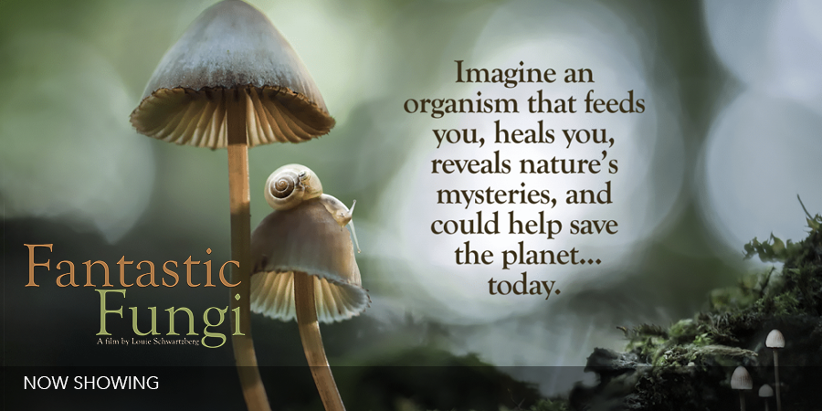 Movie: Fantastic Fungi