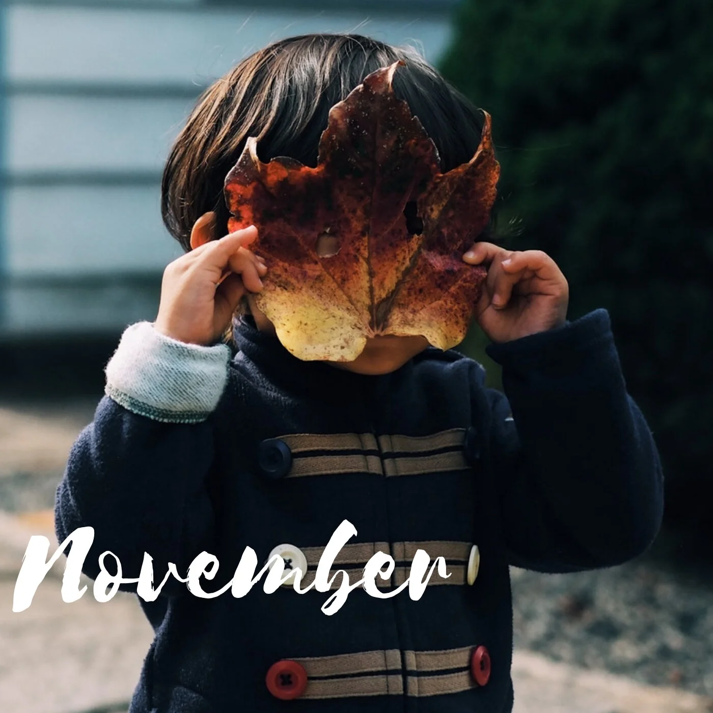 November Awesome List 