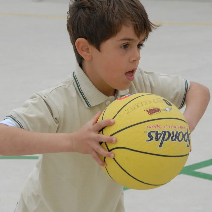Basketball