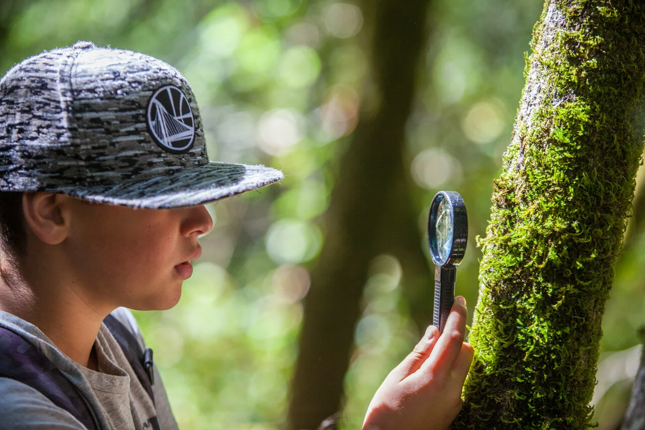 Terra Marin School Open House
