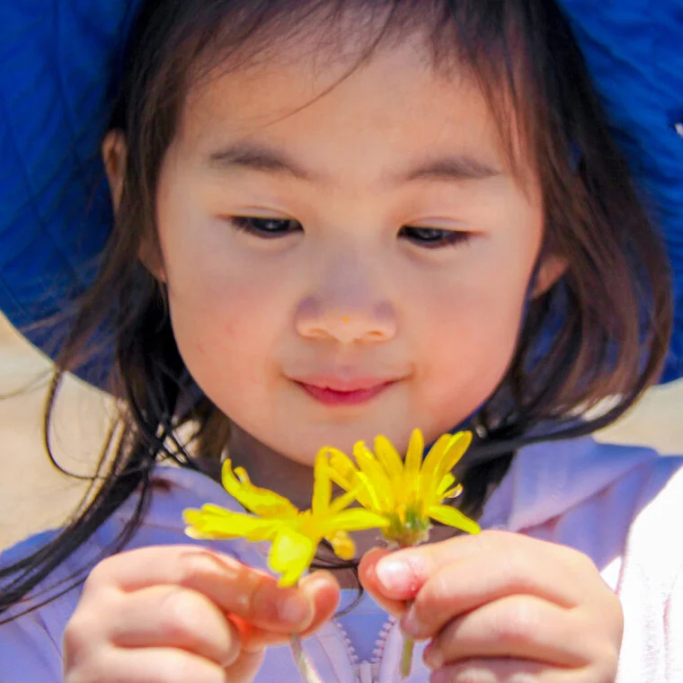 Terra Mandarin Preschool &amp; TK Open House &amp; Exploratory Day