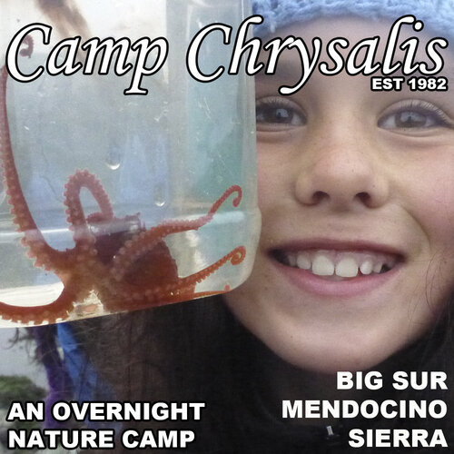 Sneak A Peek into a Spring &amp; Summer at Camp Chrysalis