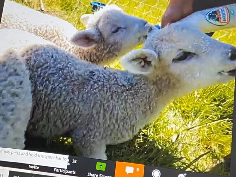 Mothers Day Virtual Visit