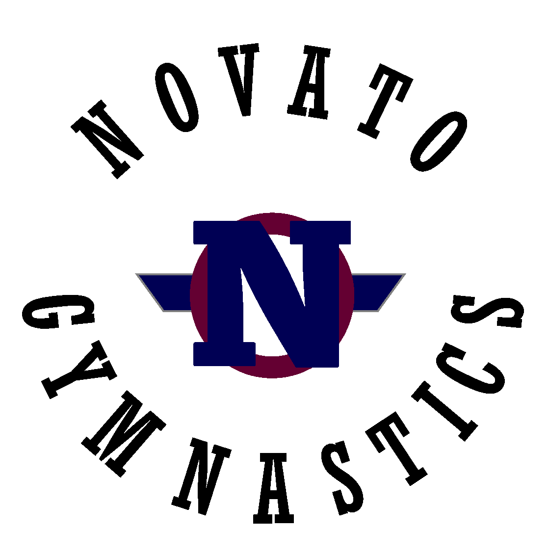 Novato Gymnastics Camp
