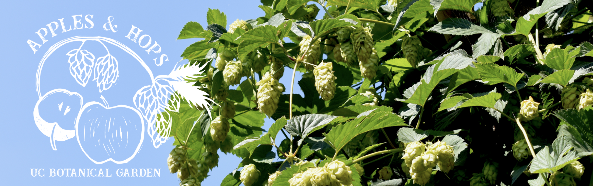 Apples &amp; Hops Garden Festival